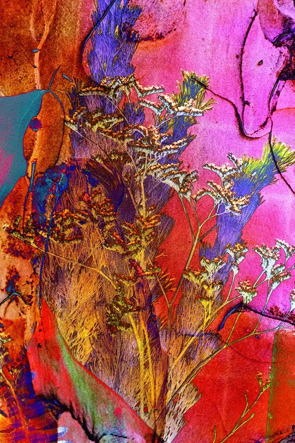 Foliage_118