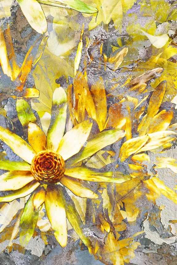 Flora_52