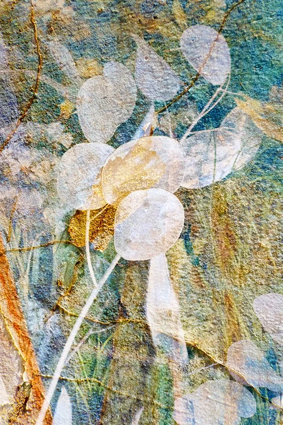 Foliage_122