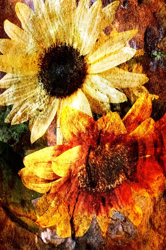 Flora_257