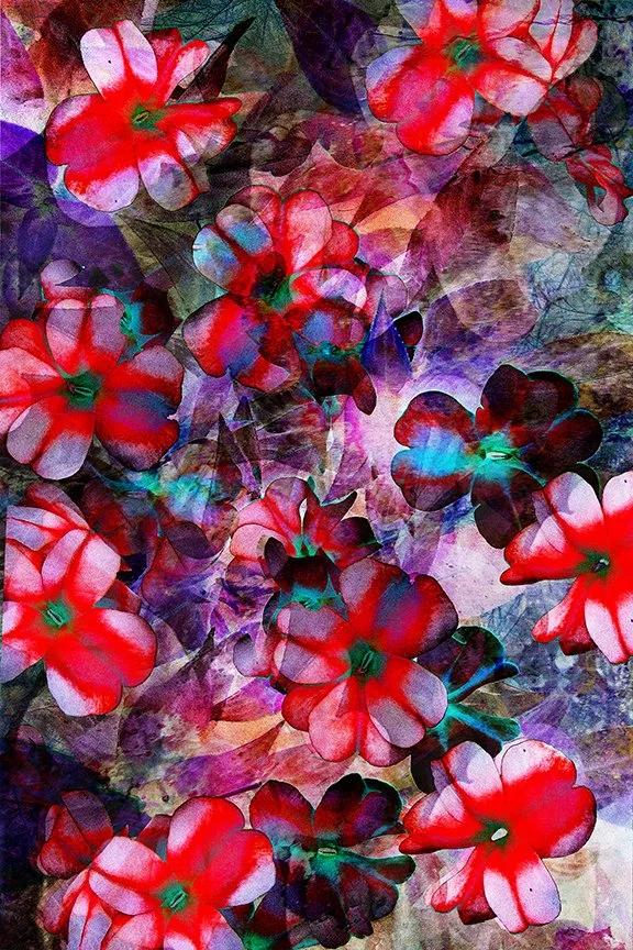 Flora_71