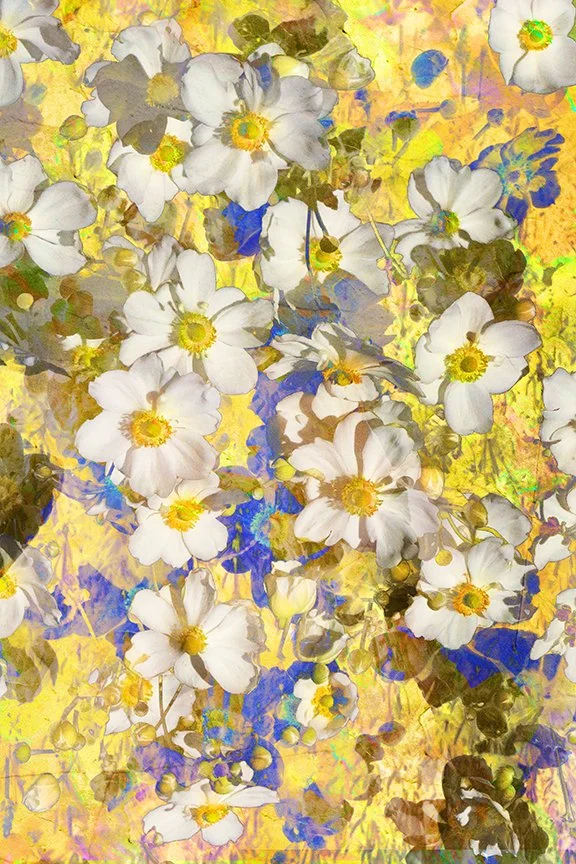 Flora_262