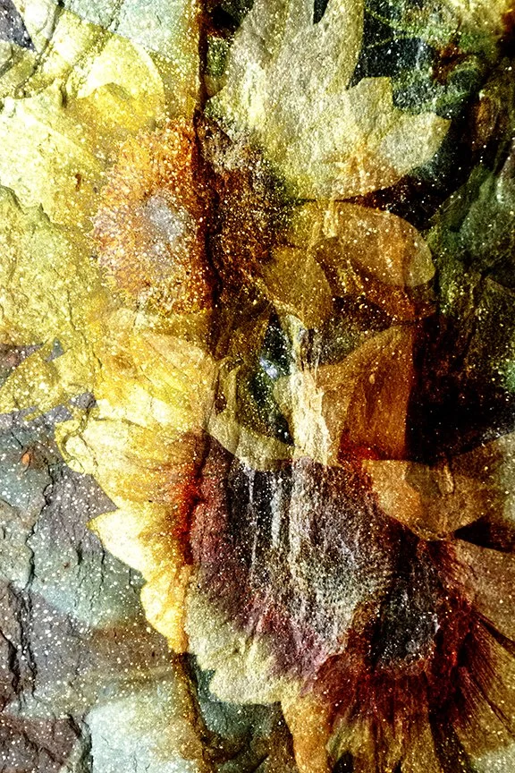 Flora_252