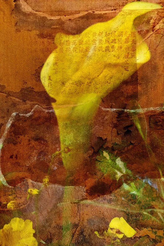 Flora_270