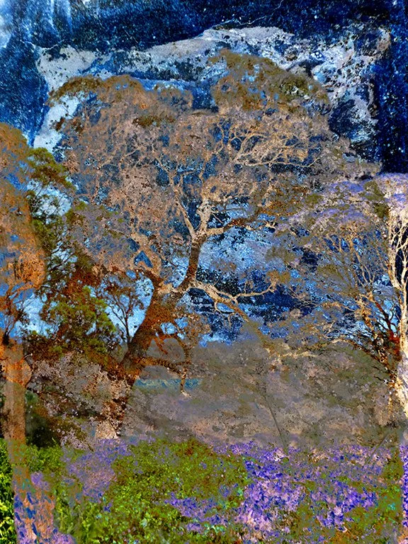 Landscape_86