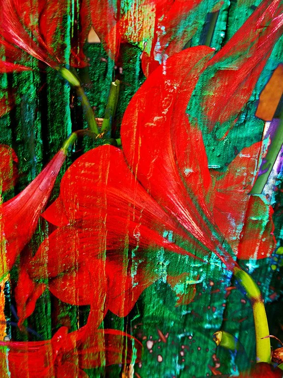 Flora_217
