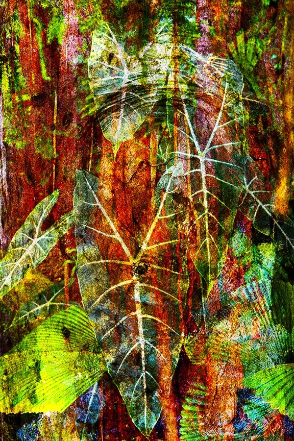 Foliage_144