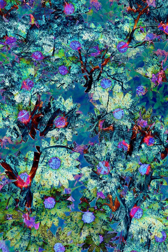Foliage_29