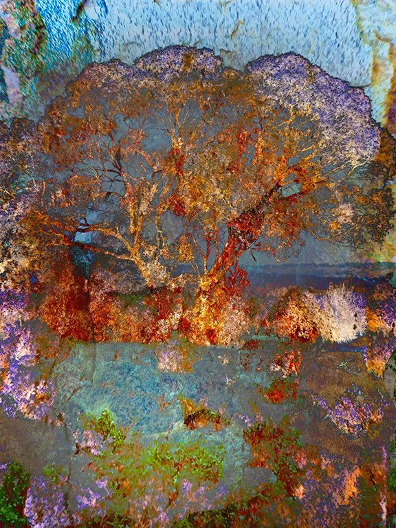 Landscape_40