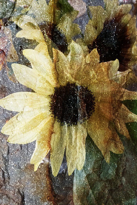 Flora_260
