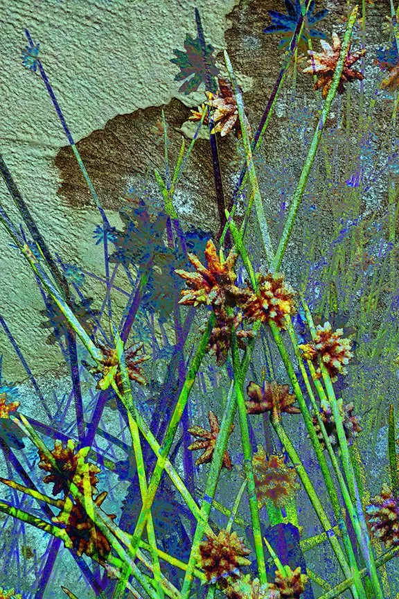 Foliage_97