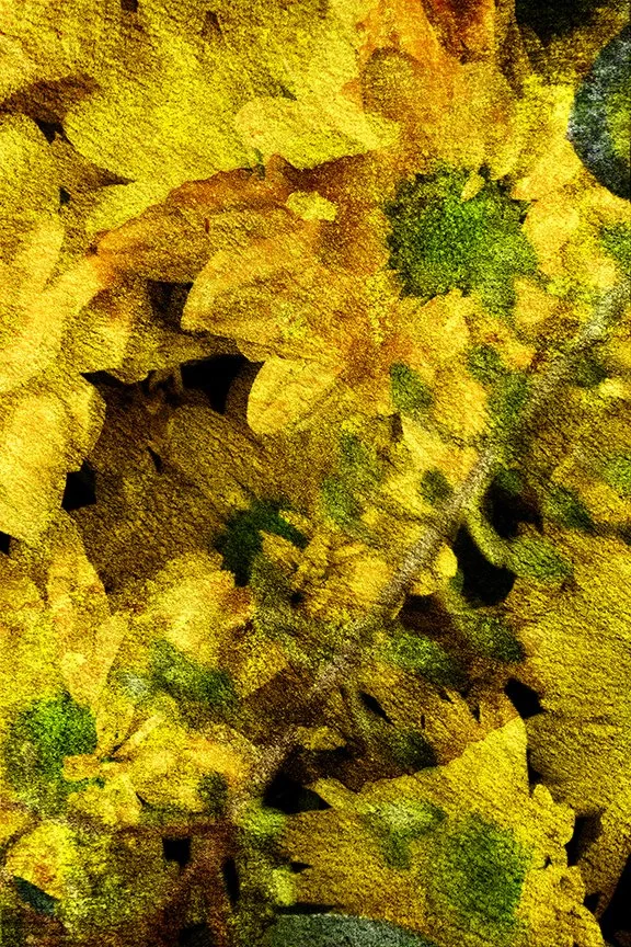 Flora_194