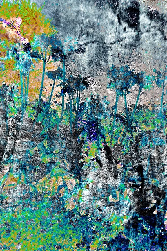 Foliage_104