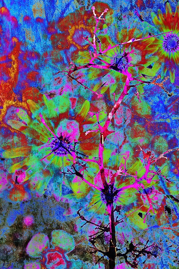 Flora_07