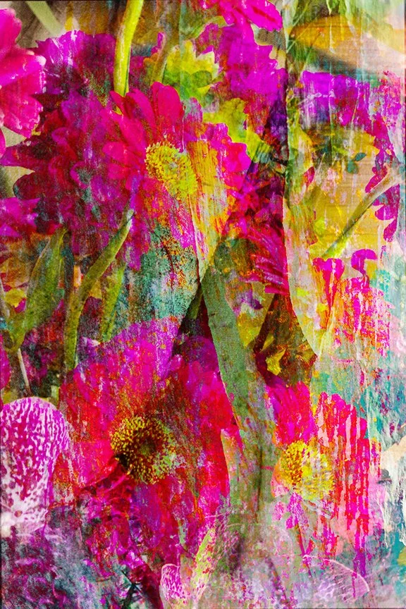 Flora_269