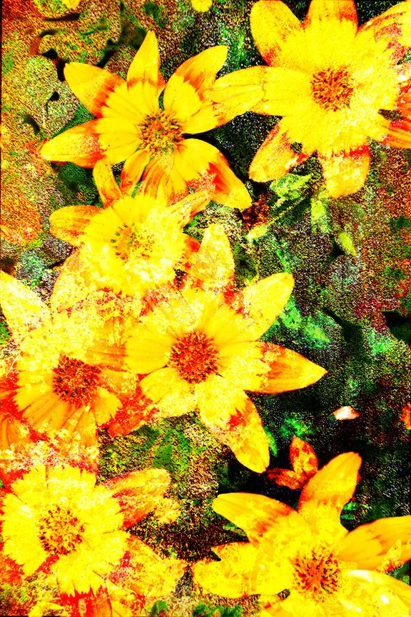 Flora_102