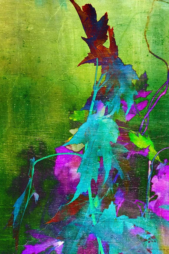 Foliage_67