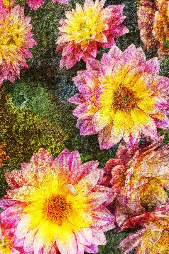 Flora_207