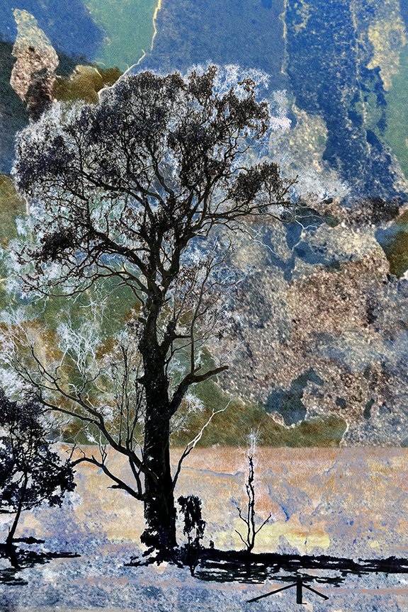 Landscape_32