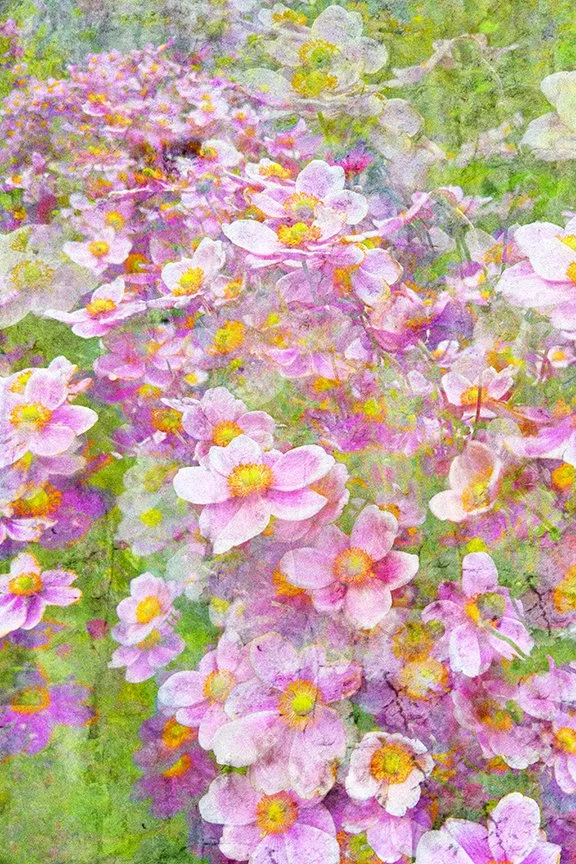 Flora_263