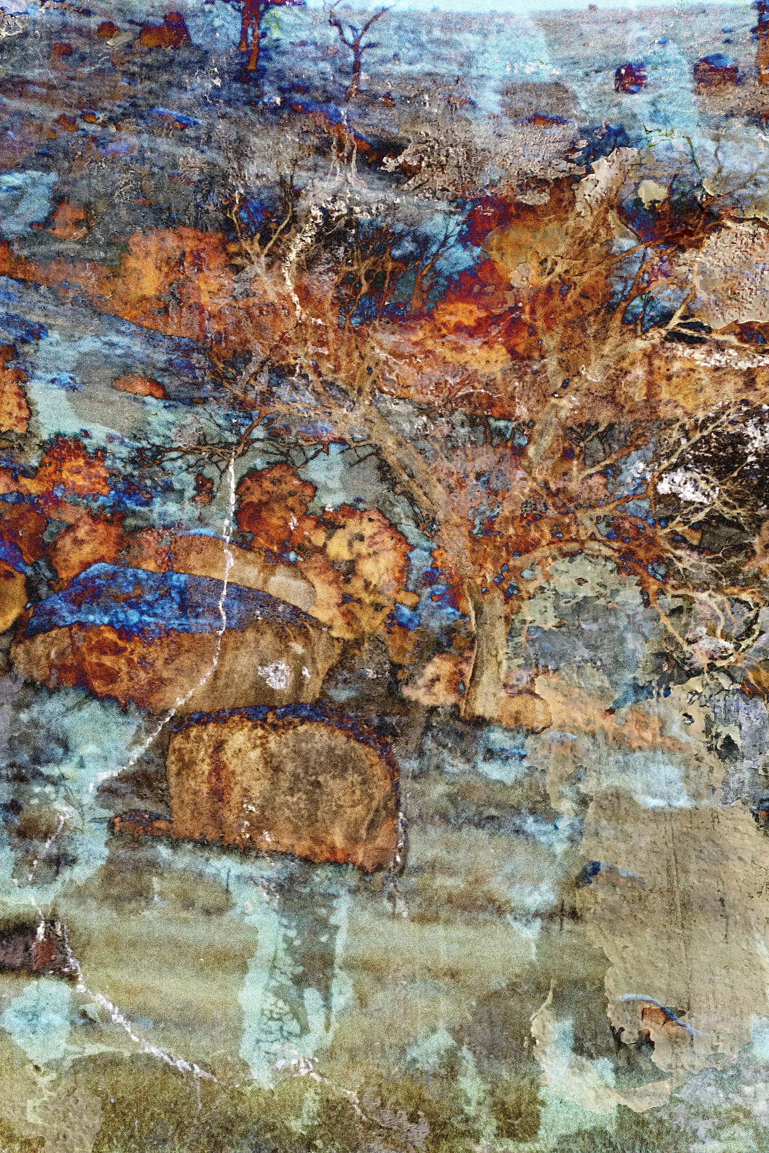 Landscape_07