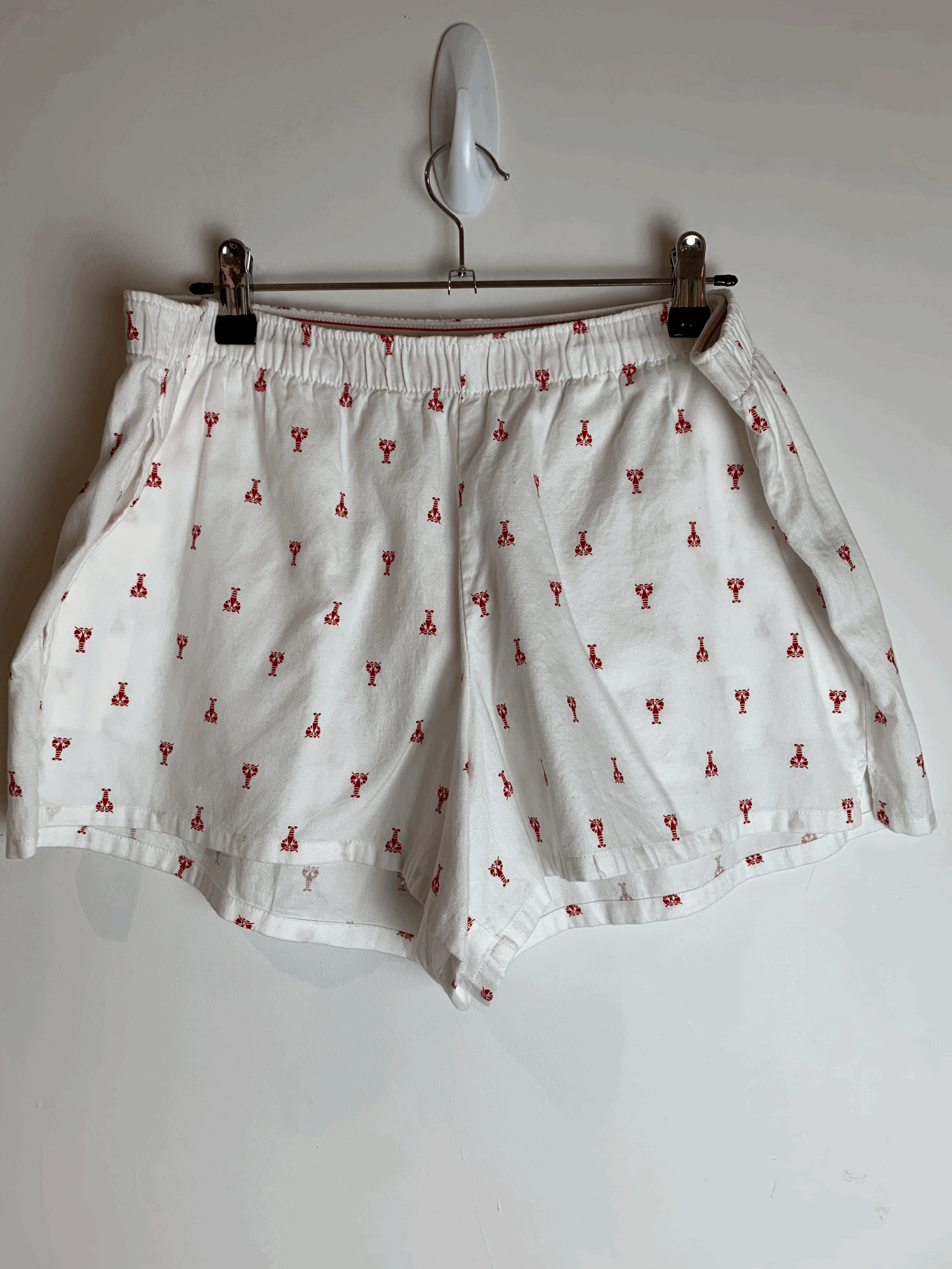 Hollister Shorts | Size L