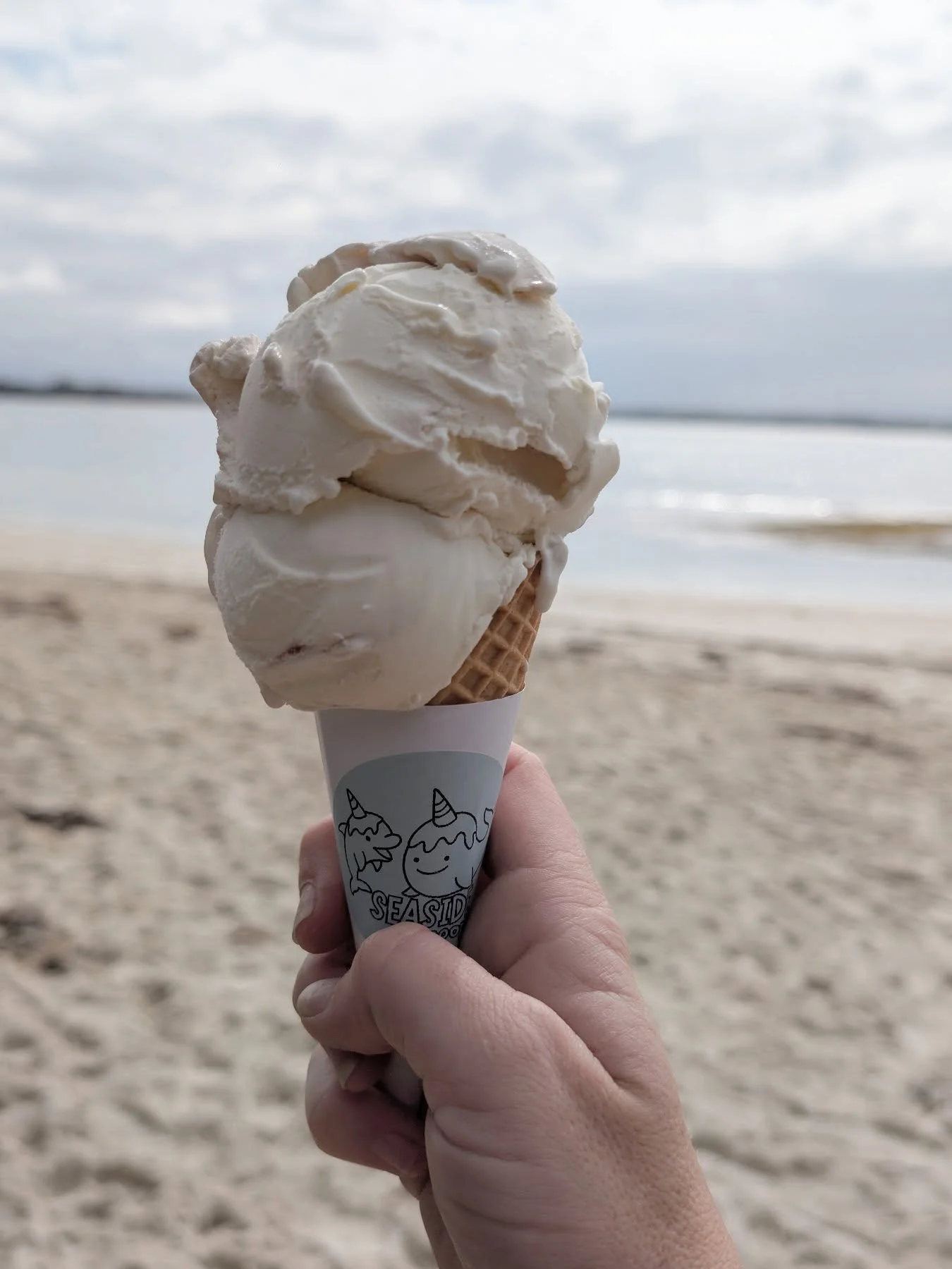 financially irresponsible but emotionally fulfilled 🍨