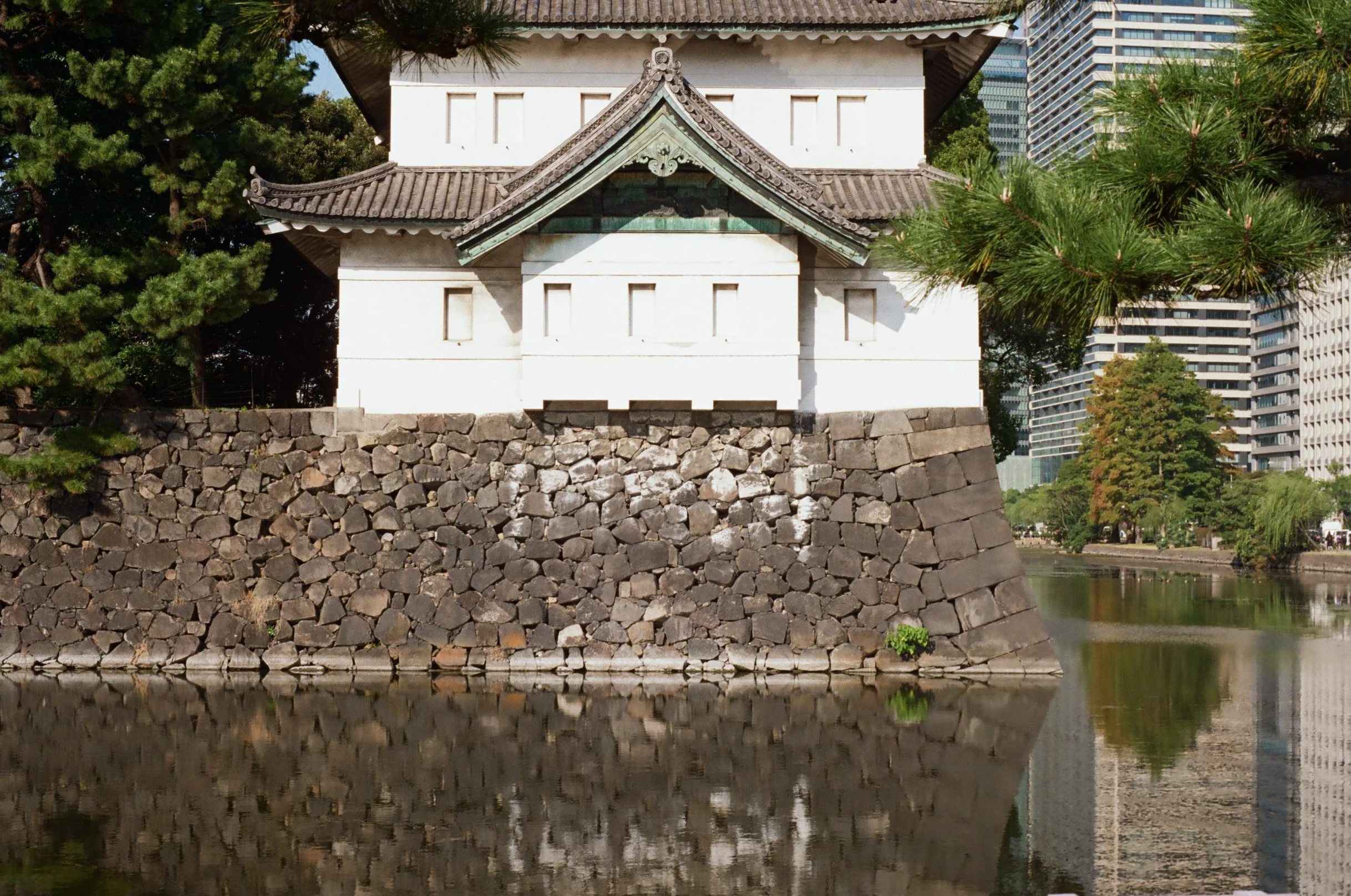 IMG_3202.png