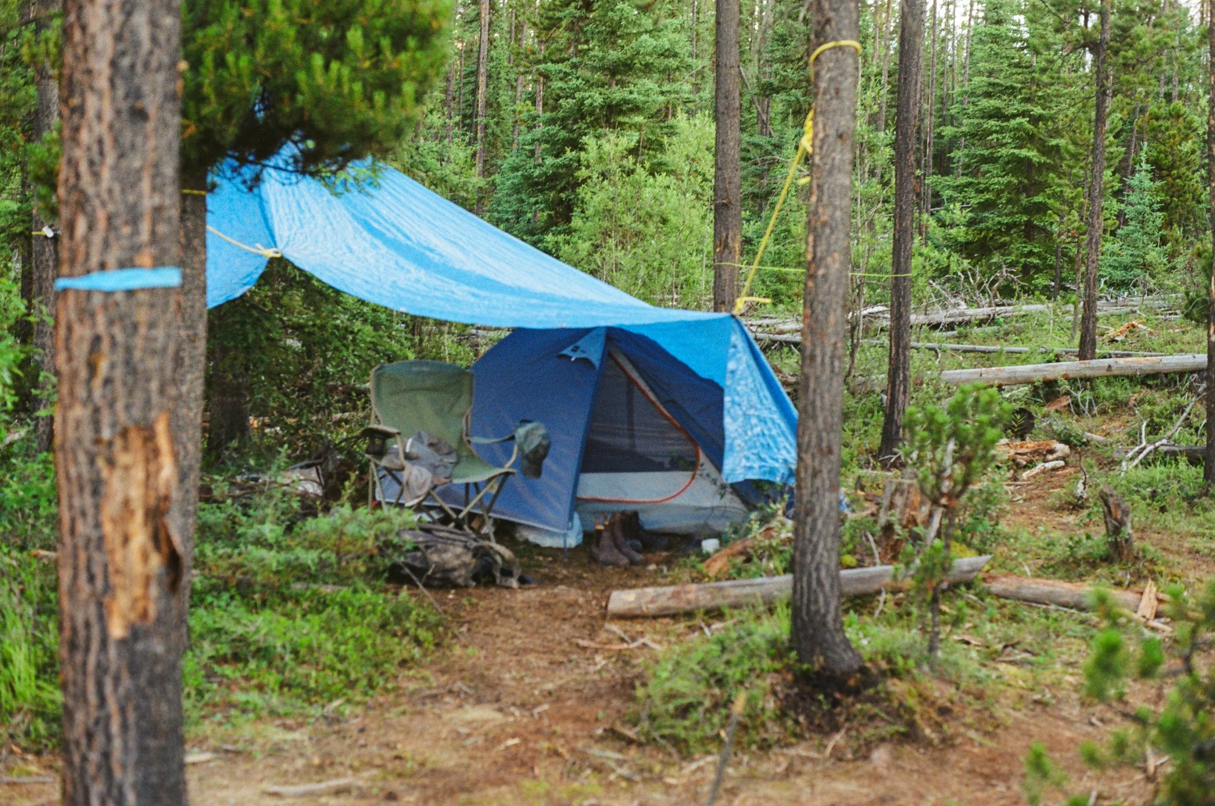 0035_%23%23%23 2.JPG