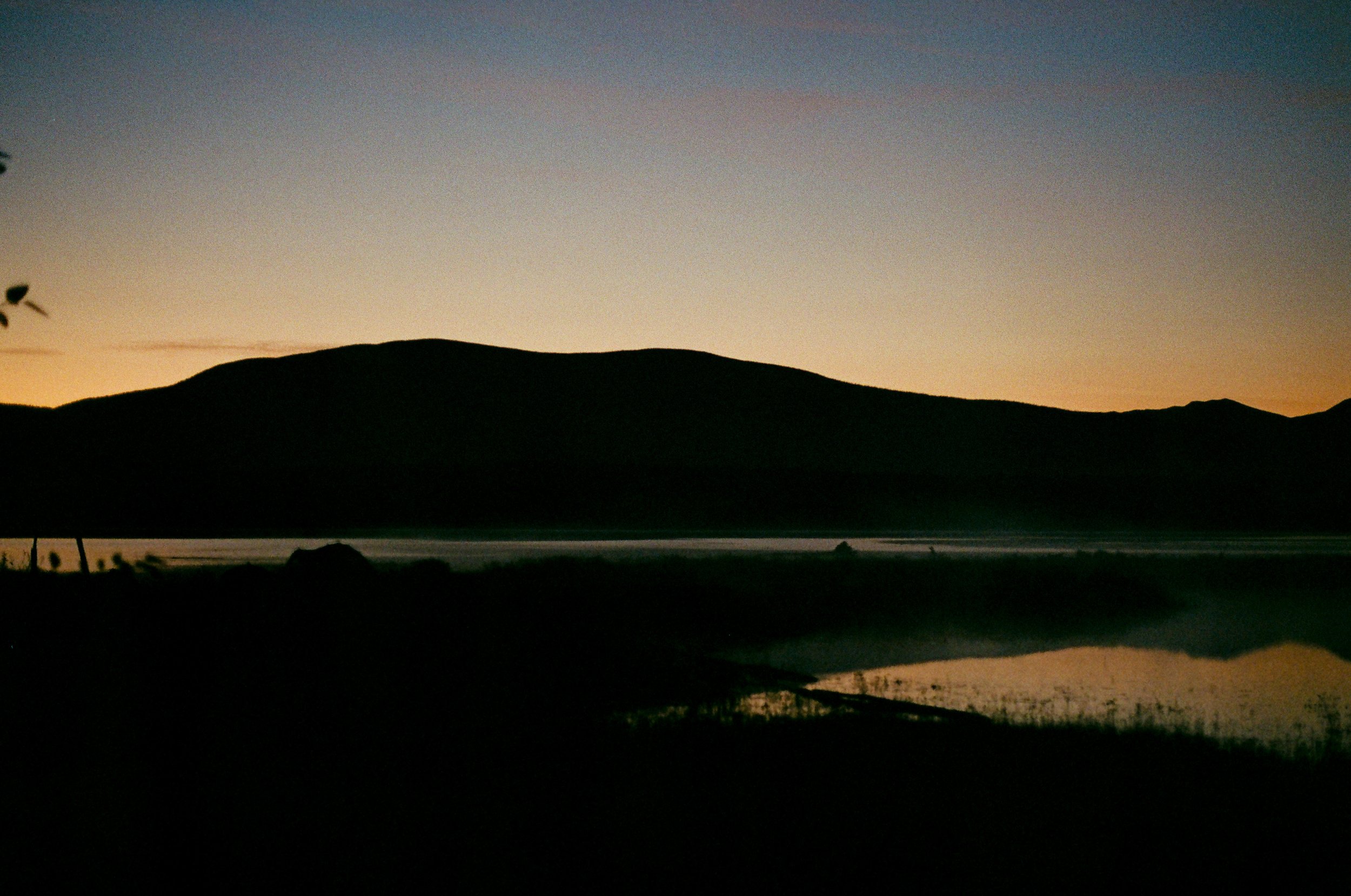 0013_%23%23%23 2.JPG