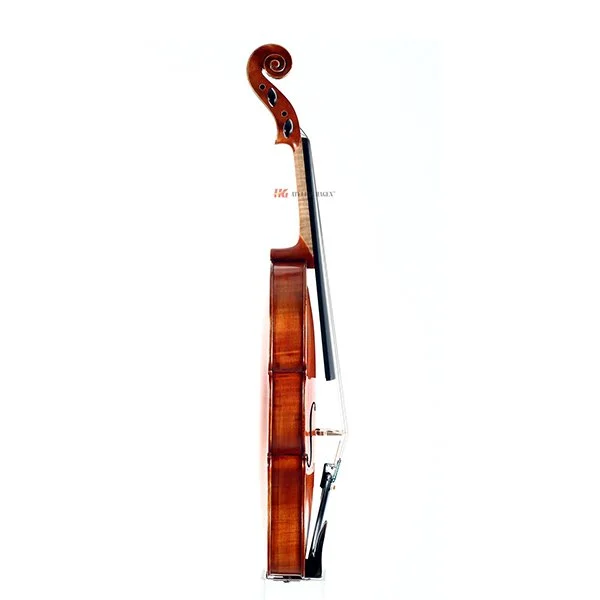 Clair Viola Side.jpg