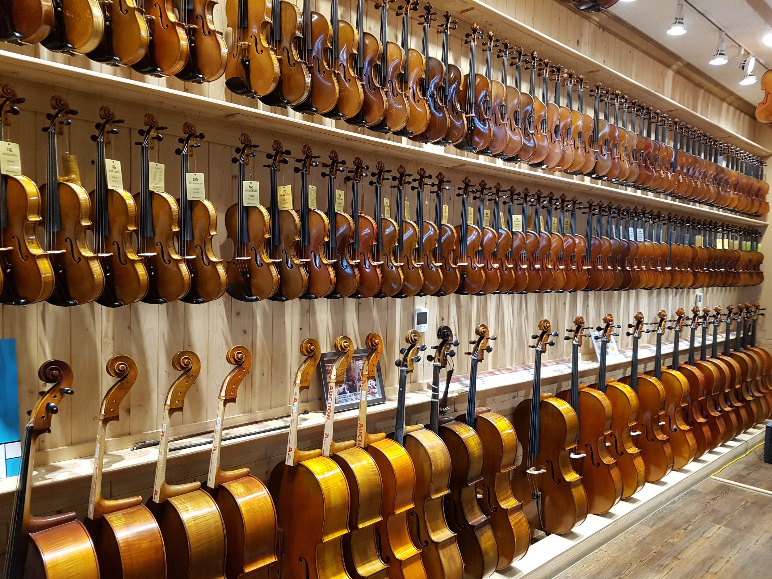 A wall filled with multiple rows of violins hanging for sale in a music store.