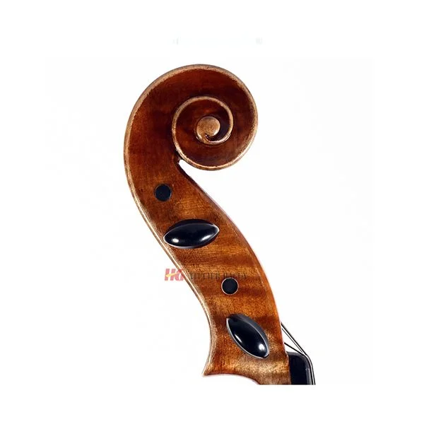 Viola Stella Head.jpg