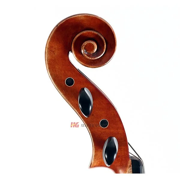 Claiar Viola Head.jpg