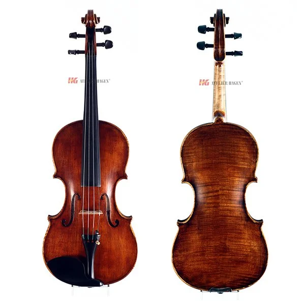 VIOLIN MERIDIAN