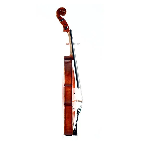 Viola Luna Side.jpg