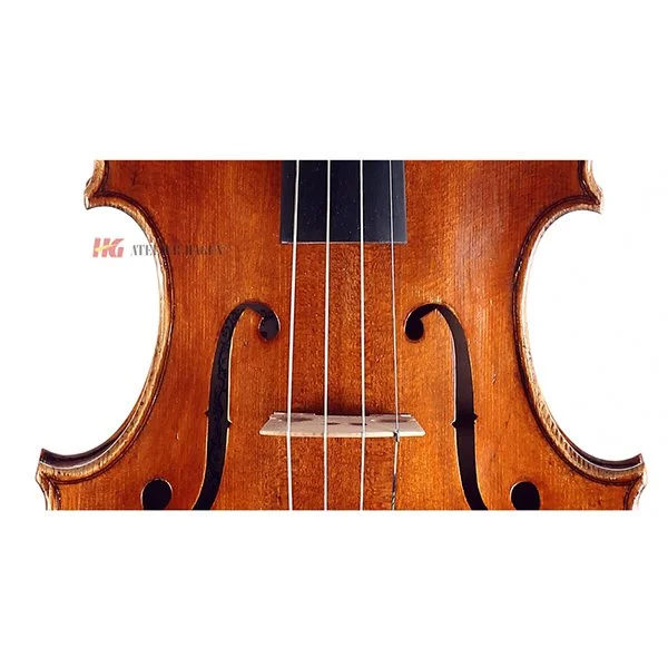 Viola Stella Body.jpg