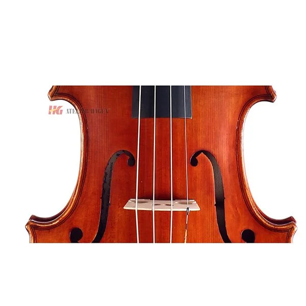 Clair Viola Body.jpg