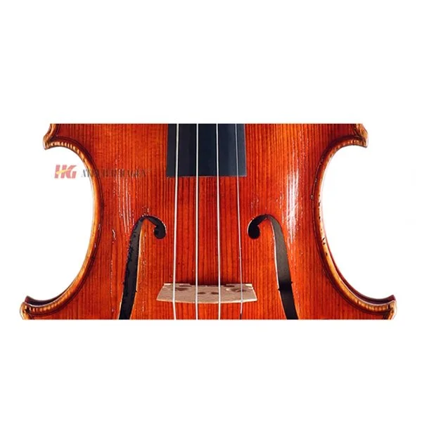 Viola Luna Body.jpg