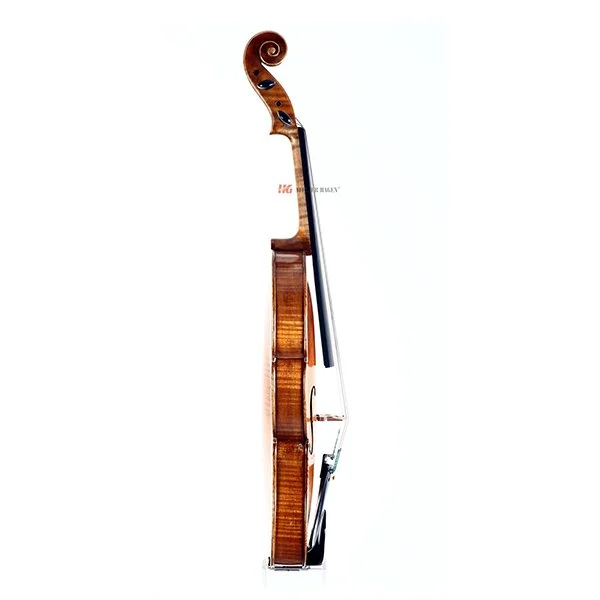 Viola Stella Side.jpg