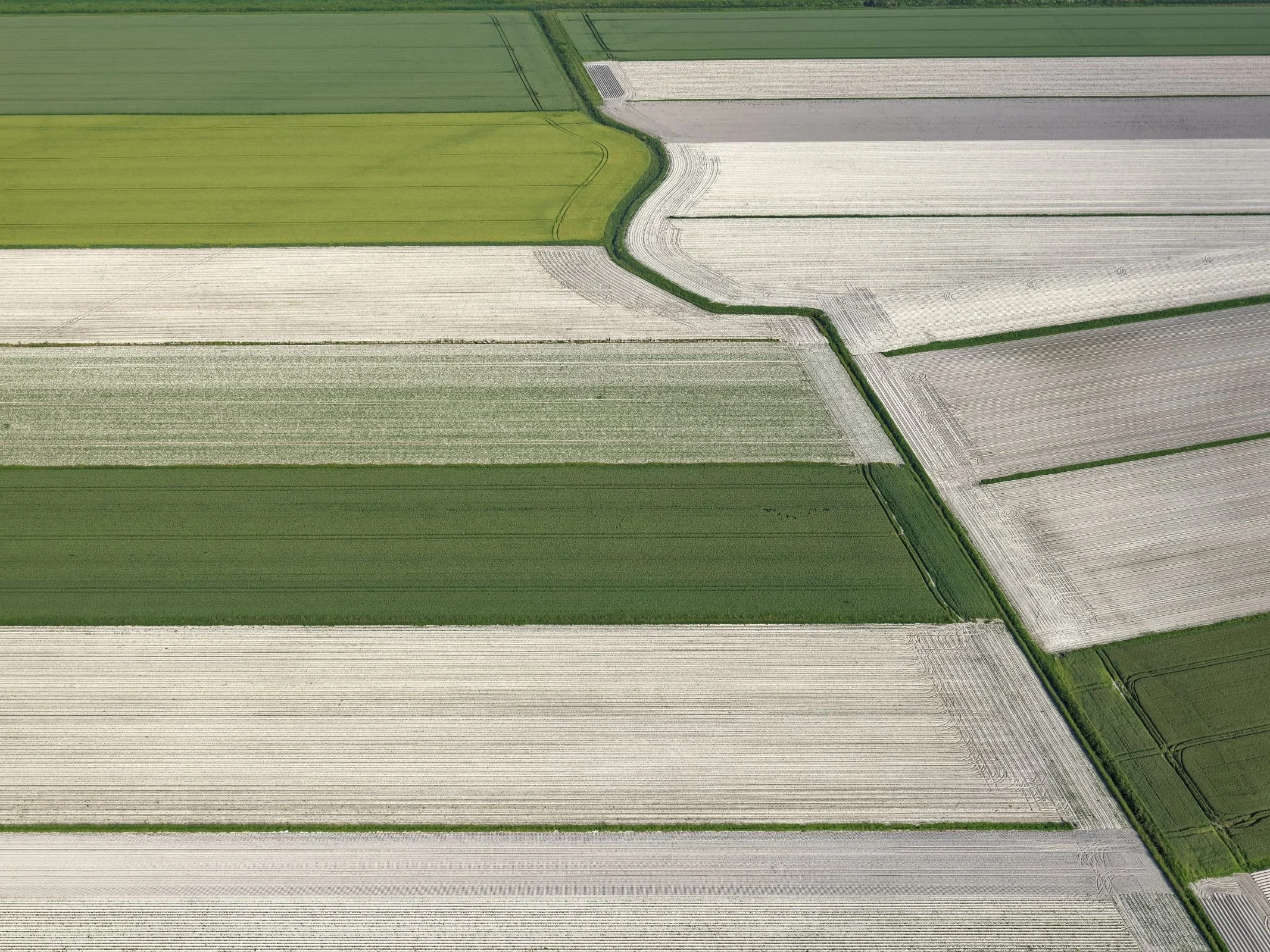 _DSF7891_PhotoPierrePiton.jpg