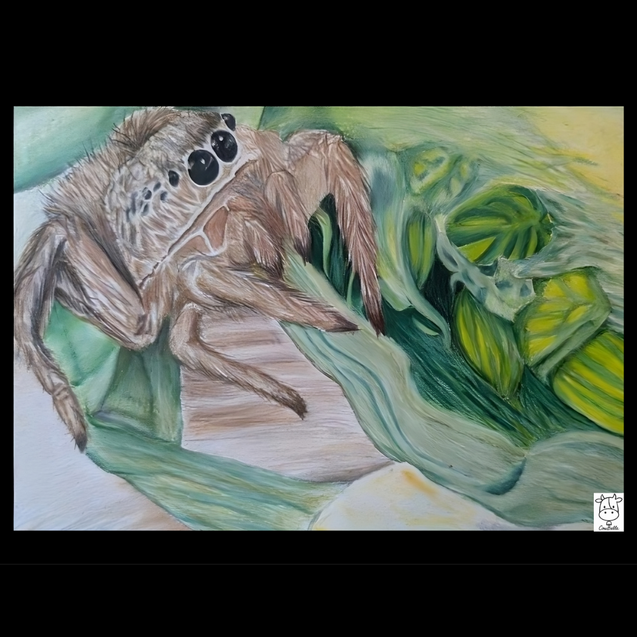 Jumping Spider Postcard