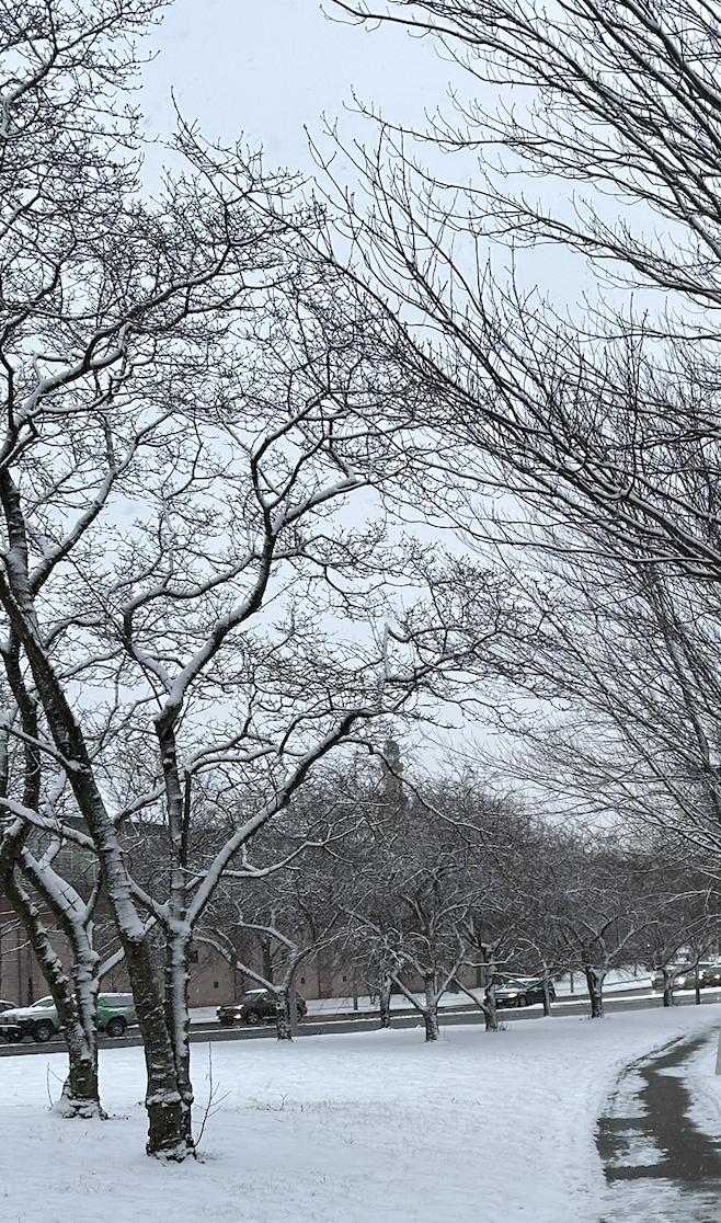 Screenshot 2025-11-27 at 7.30.02 am.png