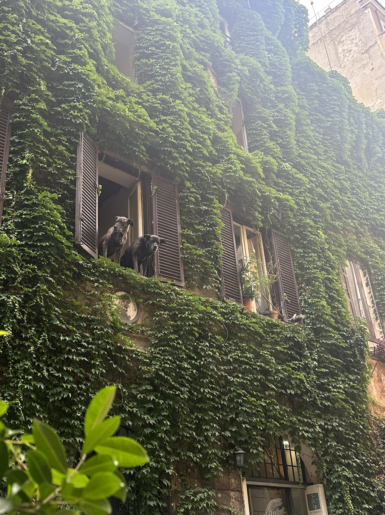 Screenshot 2025-11-27 at 7.30.37 am.png