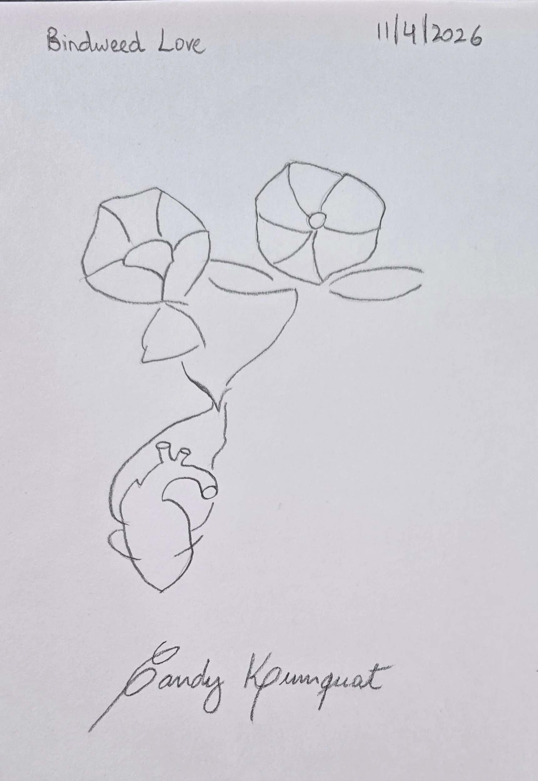 Hand-drawn pencil sketch of a heart wrapped in vine-like bindweed with bell-shaped flowers, illustrating a love that cannot be let go.