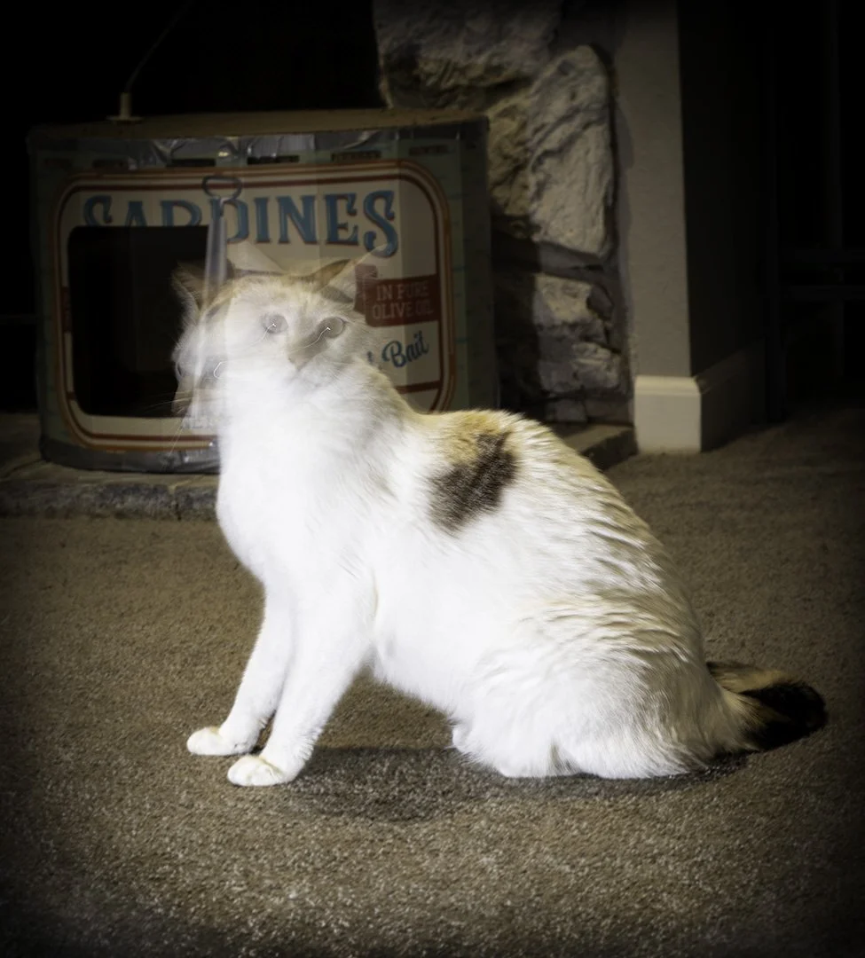 IMG_9062-Edit copy.jpg