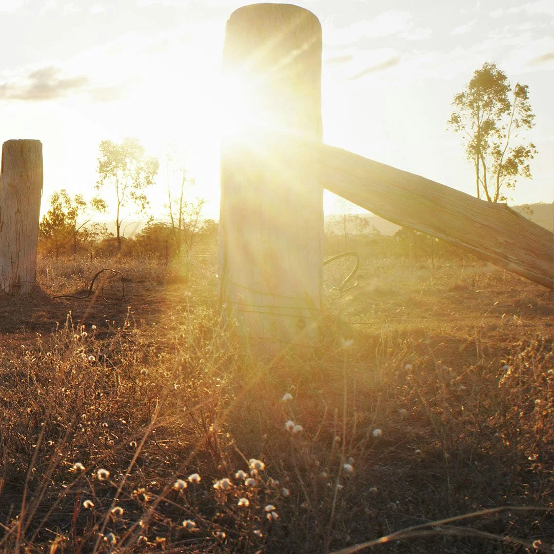 Have Paul visit your site as well as develop your project plan