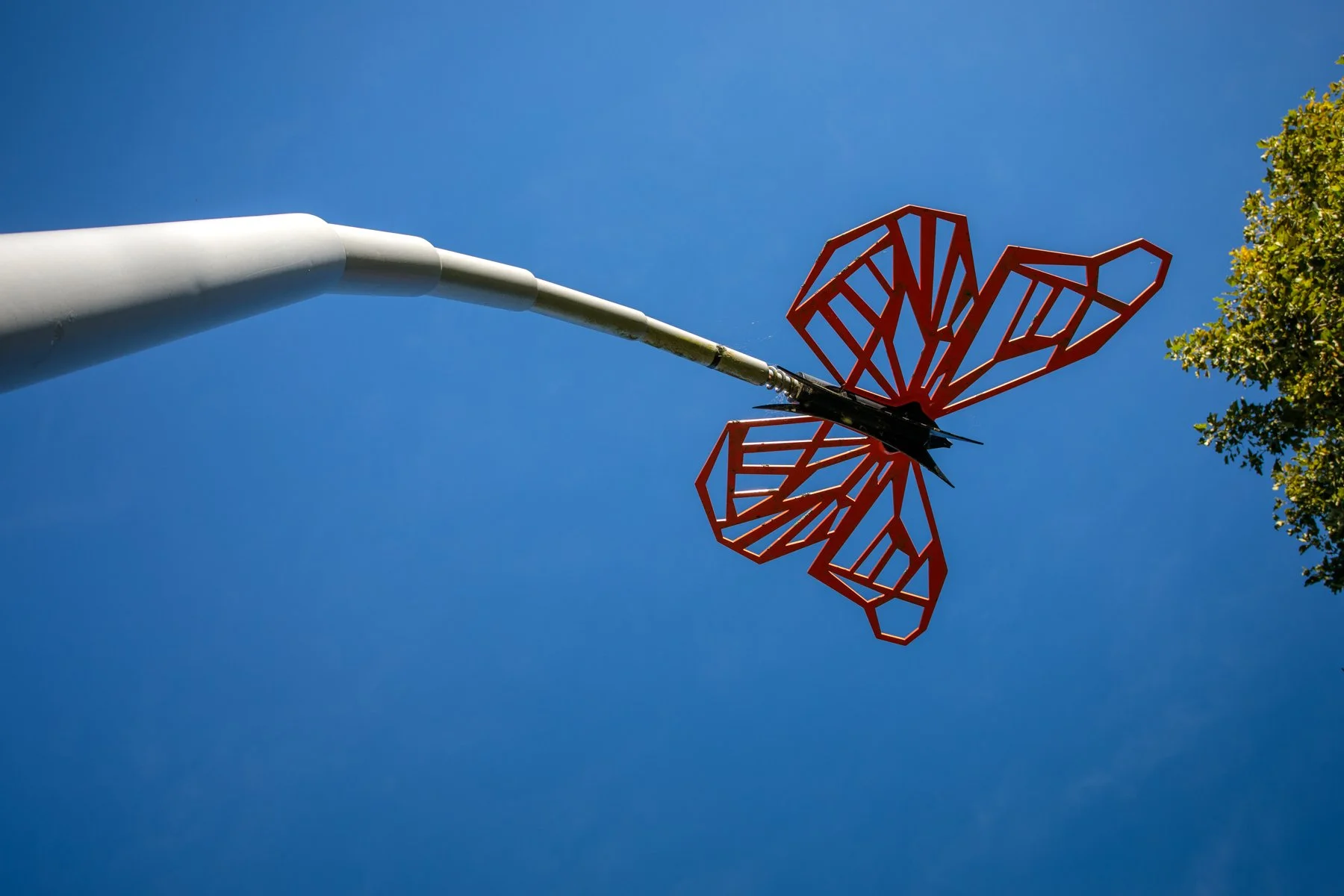 2026_Taupo Sculpture Trust_Butterfly_6118.jpg