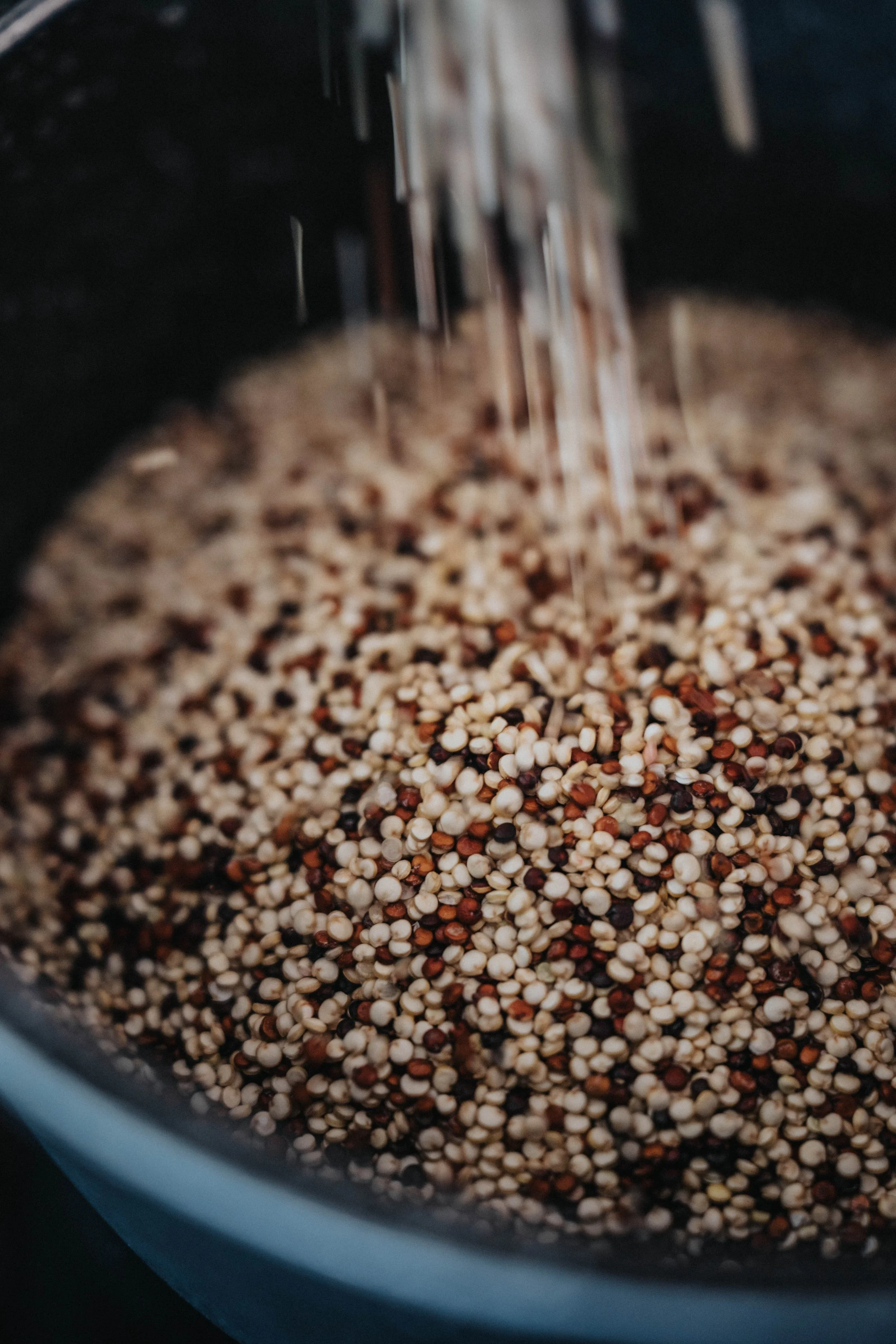 A Guide for Parents with a Newly Diagnosed Coeliac Child