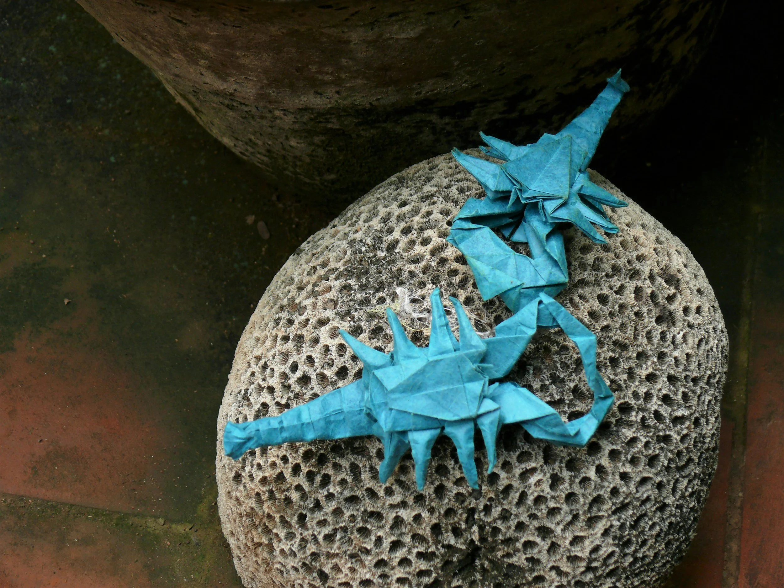 🌑 Scorpio New Moon 🌑   Insights and Rituals